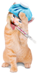 Cats Supplements