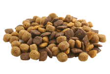 DryFood2