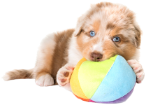 iStock 810757246 super ISOLATED